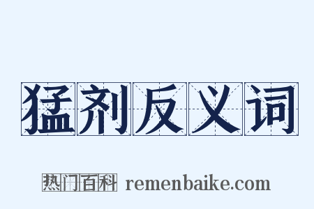 猛剂反义词是什么意思的图片